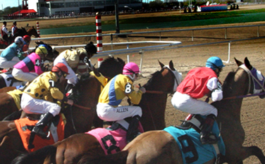 Horse Racing