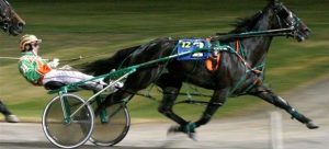 Harness Racing Loses Money