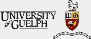 University of Guelph Researchers Study Shame and Gambling