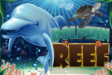 Dolphin reef